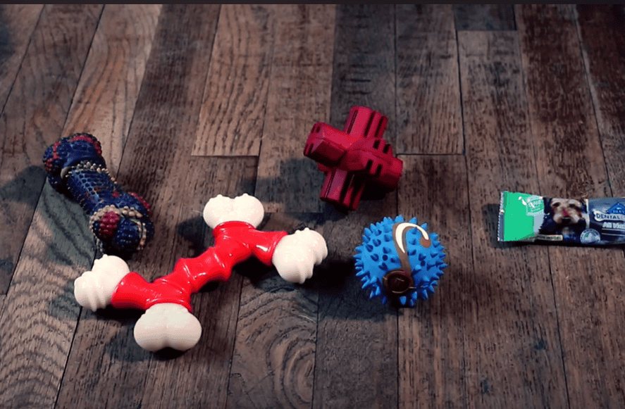 Dog toys.
