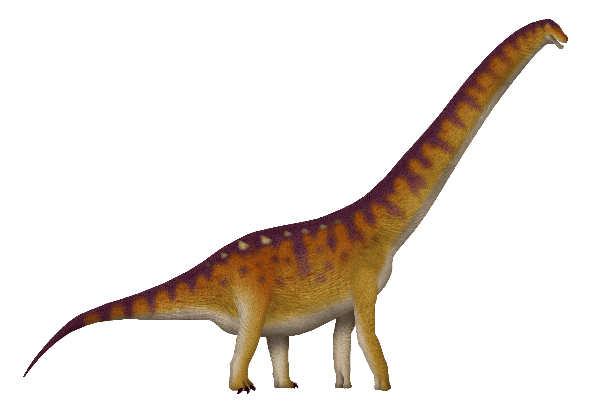 Meet Qunkasaura: New Sauropod Dinosaur Discovered on the Iberian Peninsula