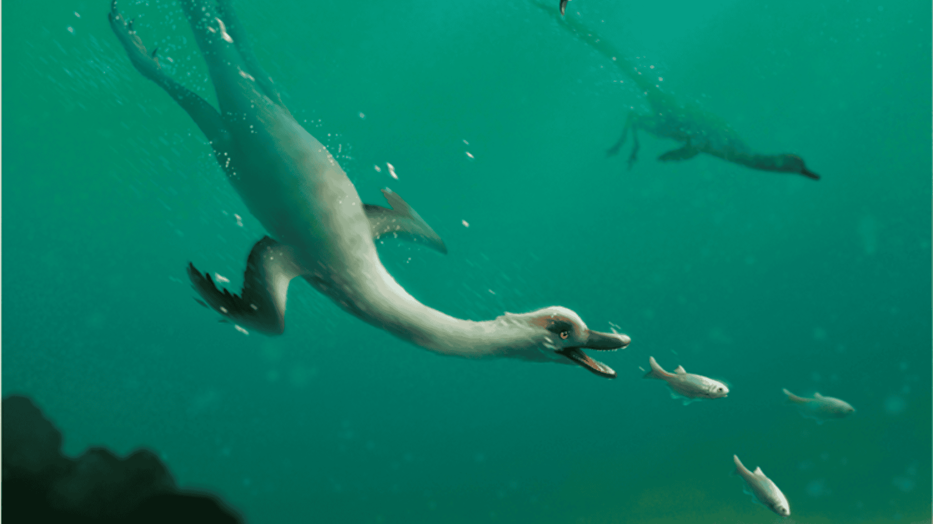 Recently Discovered Dinosaur Boasts Streamlined Body Like Modern Diving Bird