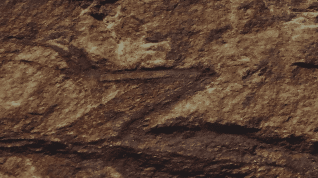 Leg of Tridentinosaurus antiquus fossil