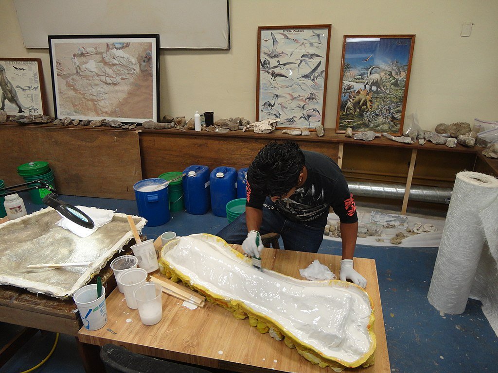 Desert Museum paleontology laboratory.