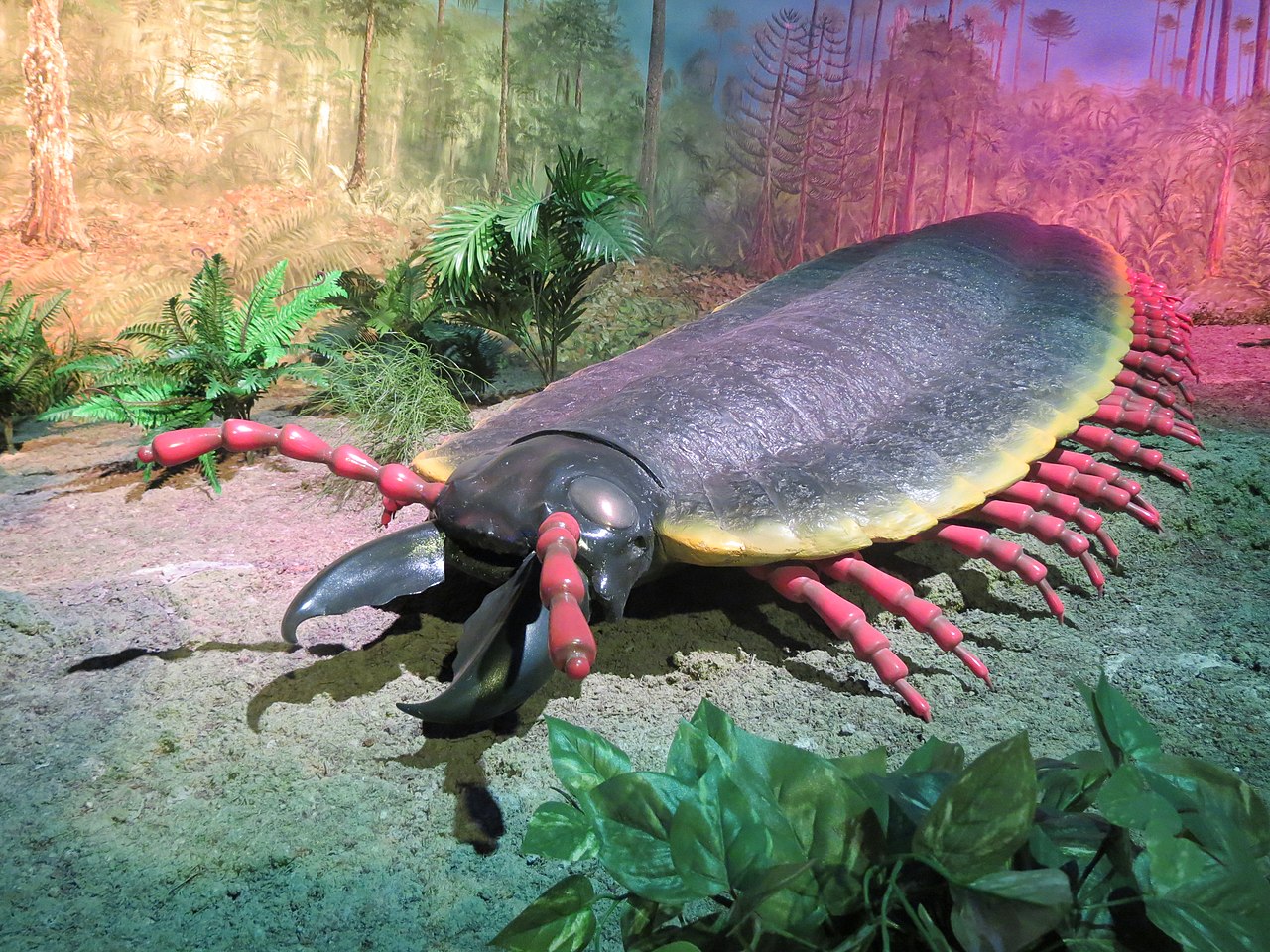Giant Millipede Alive 340 Million Years Ago Was The Size Of A Car