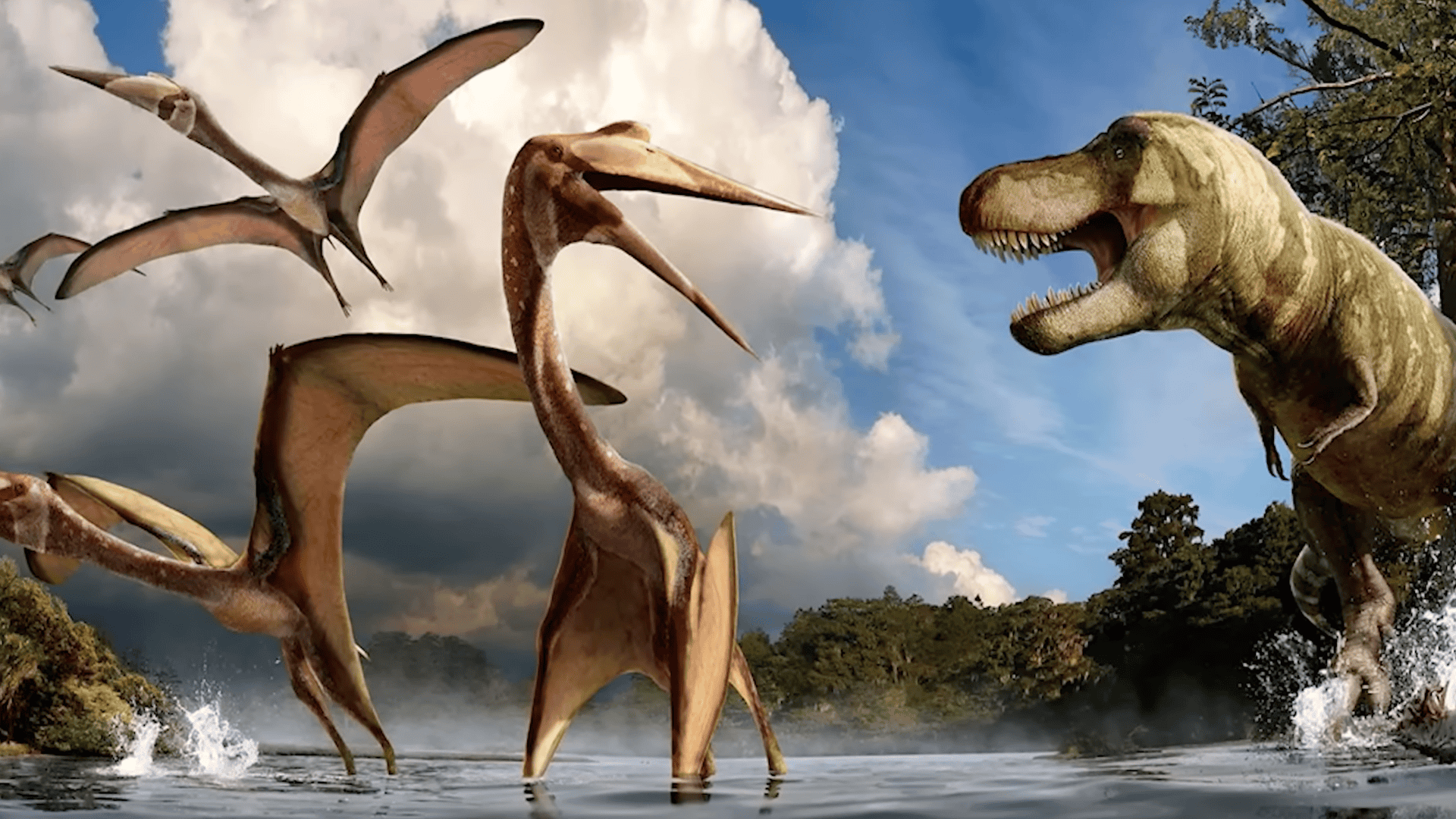 Dracula, The Largest Flying Dinosaur From 66 Million Years Ago