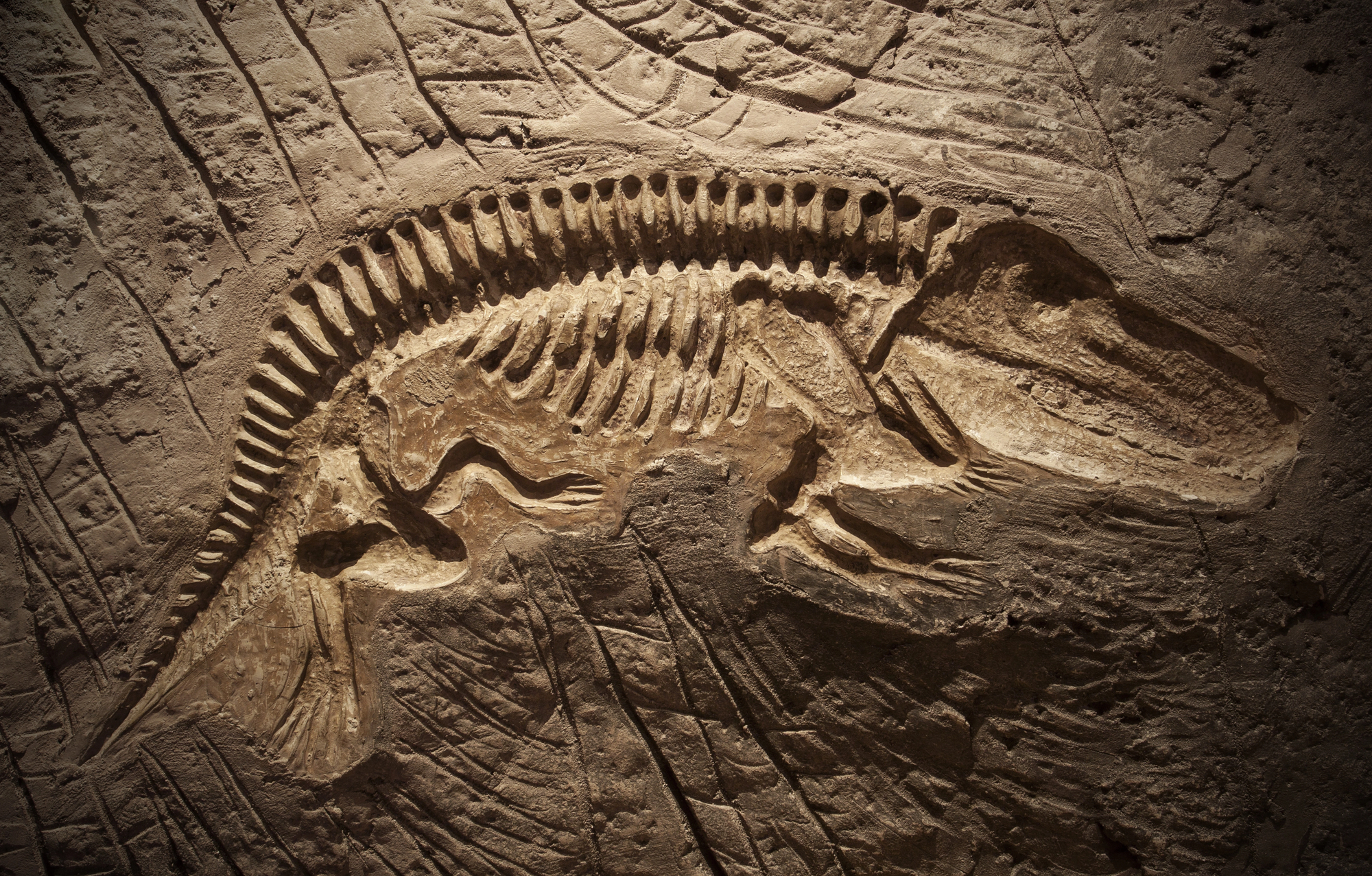 The Most Complete Dinosaur Skeletons Ever Discovered