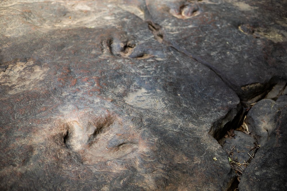 Dinosaur footprints Amphoe Na Khu in Kalasin province,