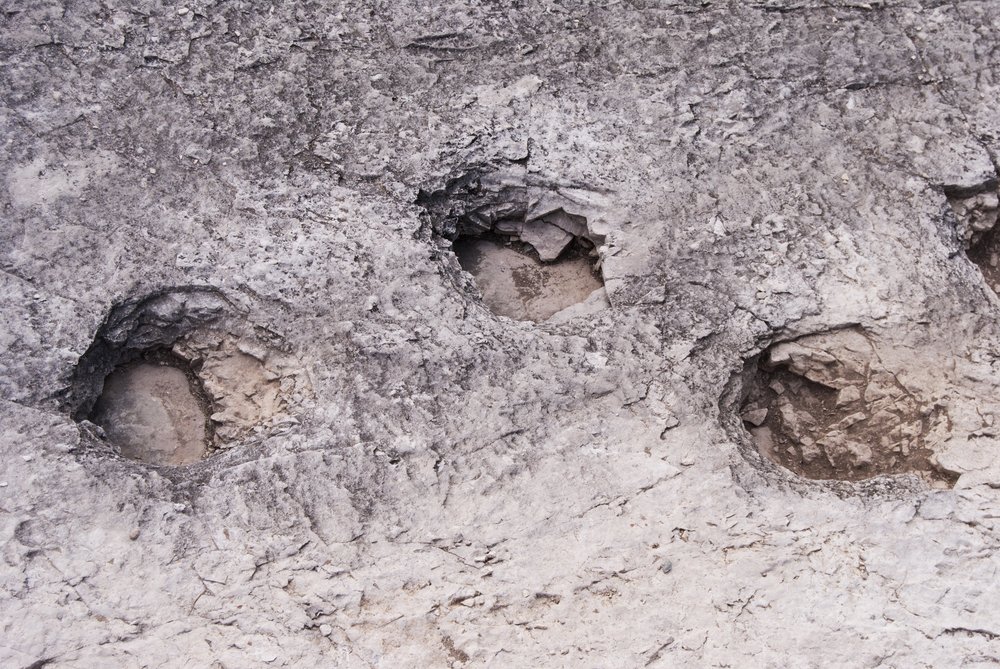 Dinosaur footprint