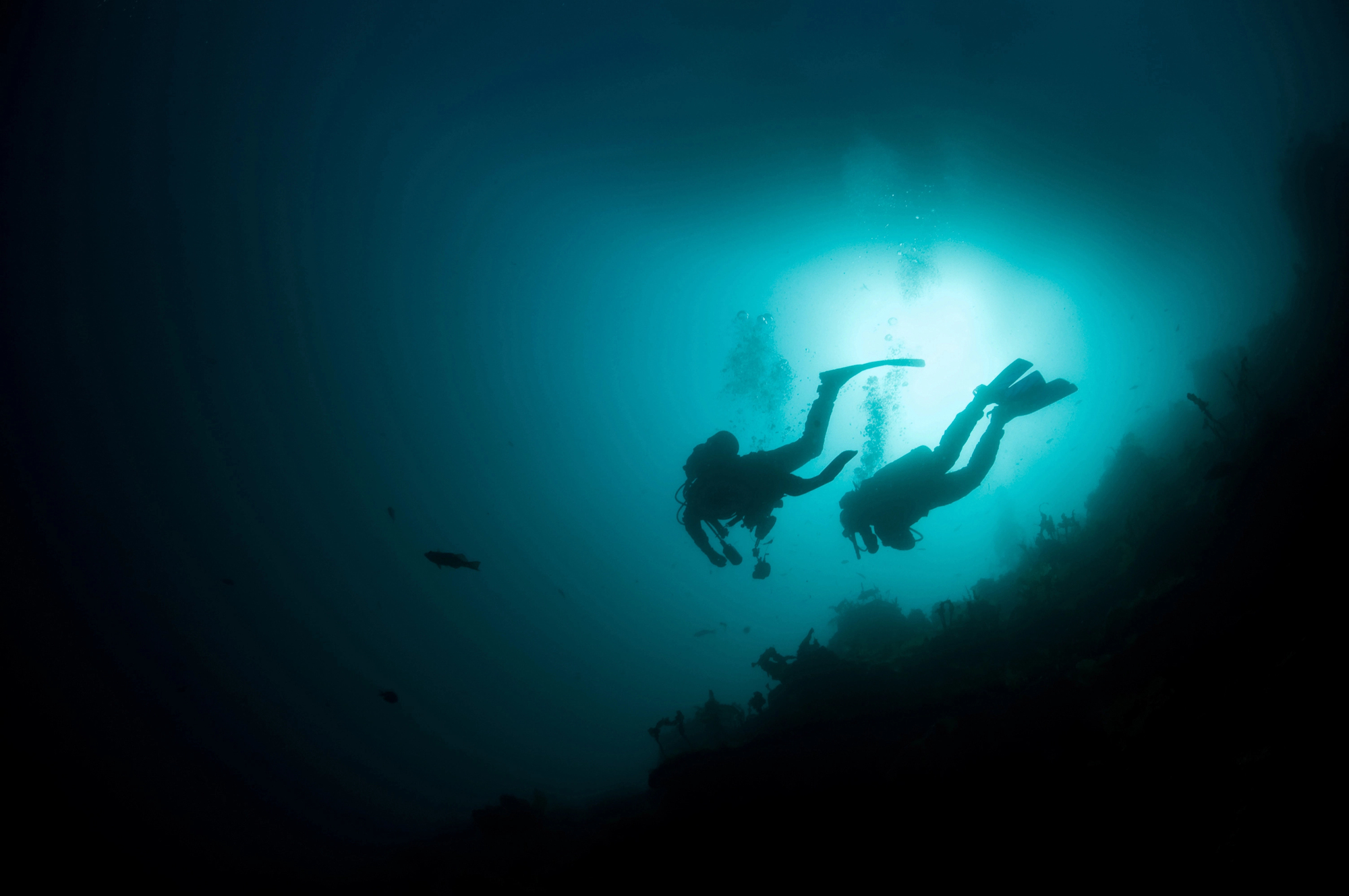 10 Discoveries About Marine Life from Deep-Sea Exploration