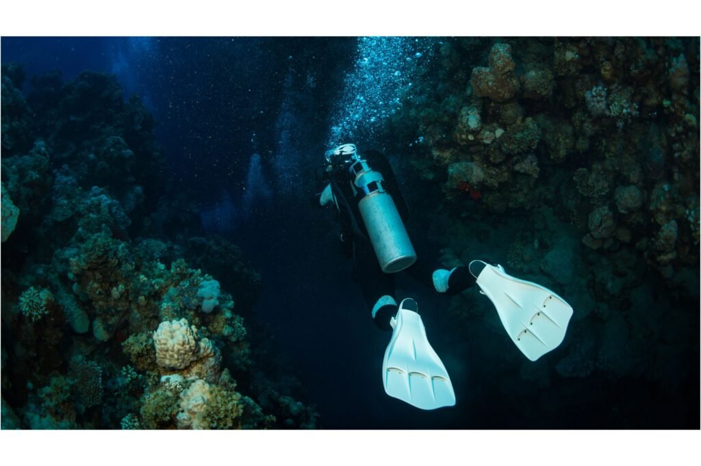 A reef beneath the waves.