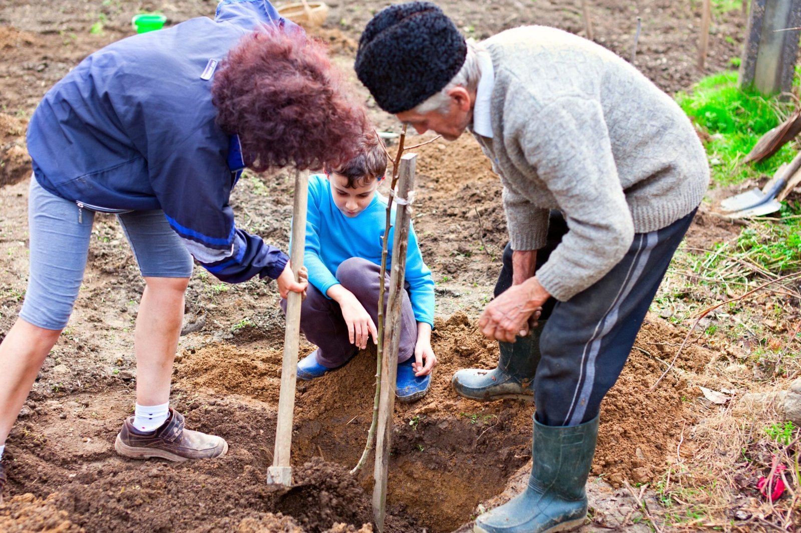 Community planting trees.
