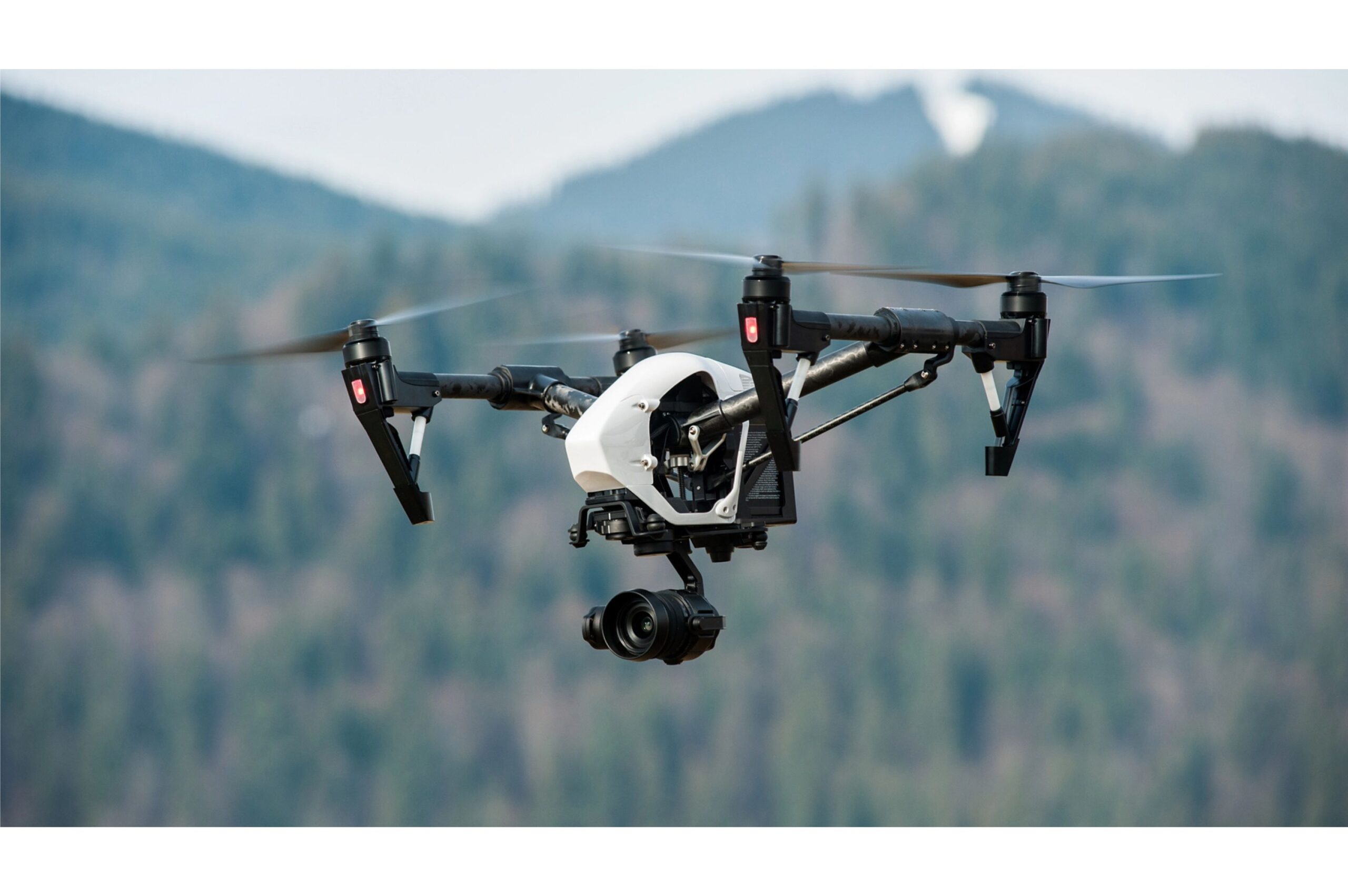 8 Ways Technology Is Revolutionizing Wildlife Conservation