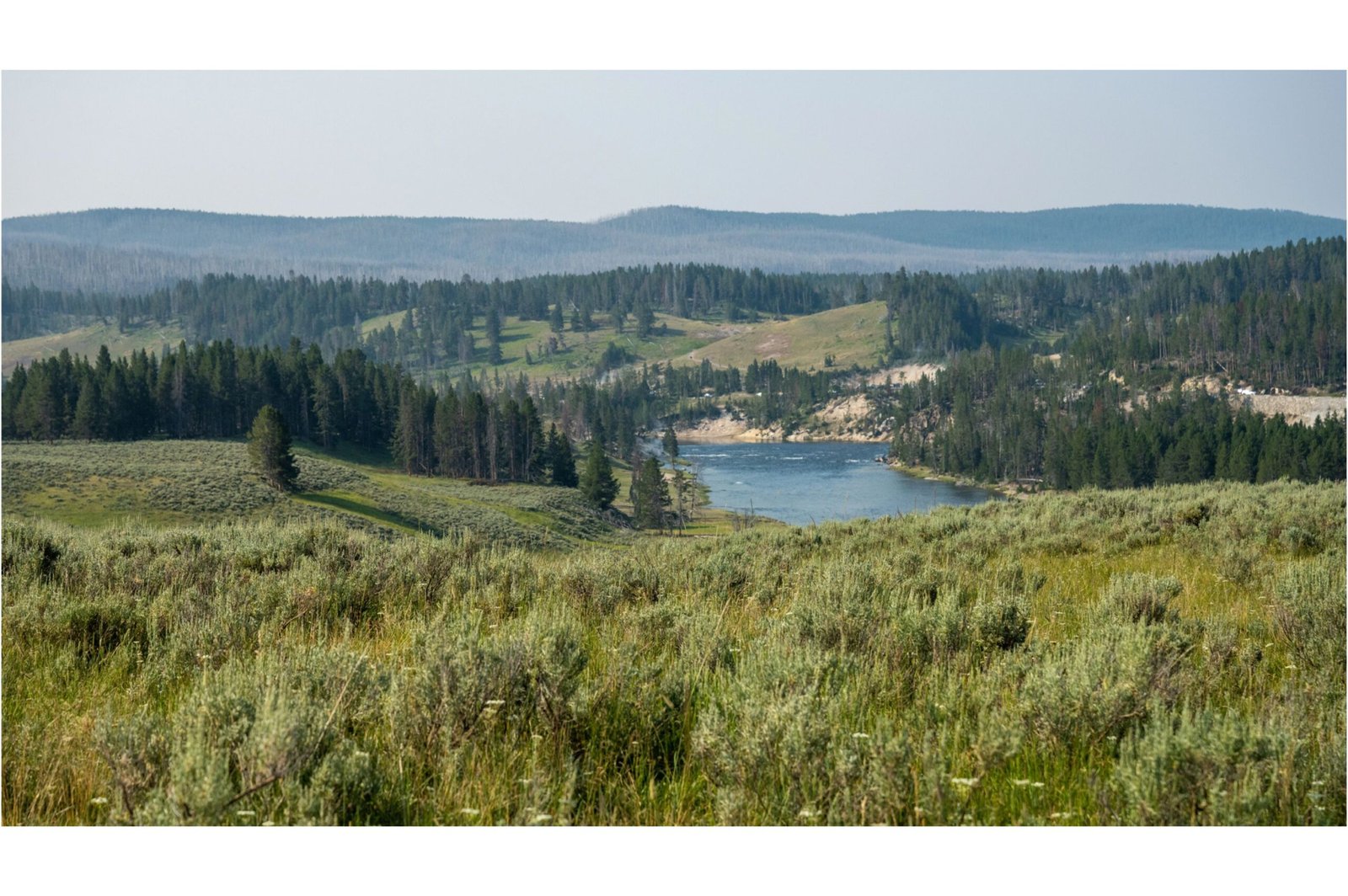 Could a Supervolcano in the U.S. Cause a Mass Extinction? The Truth About Yellowstone