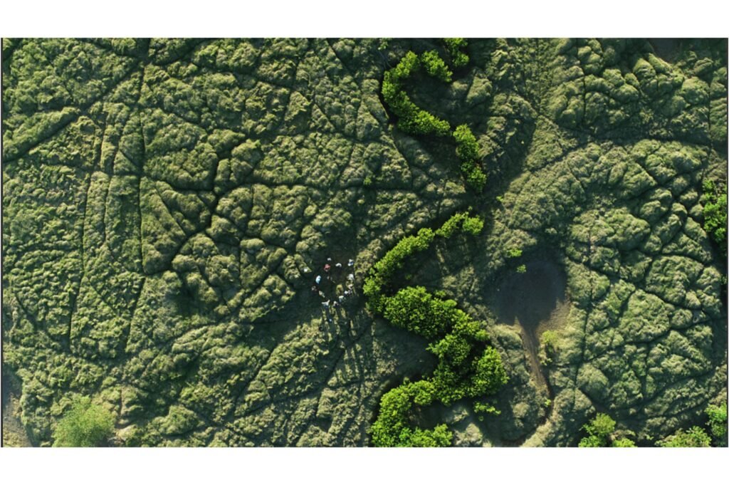 Aerial view of Annandale Wetlands