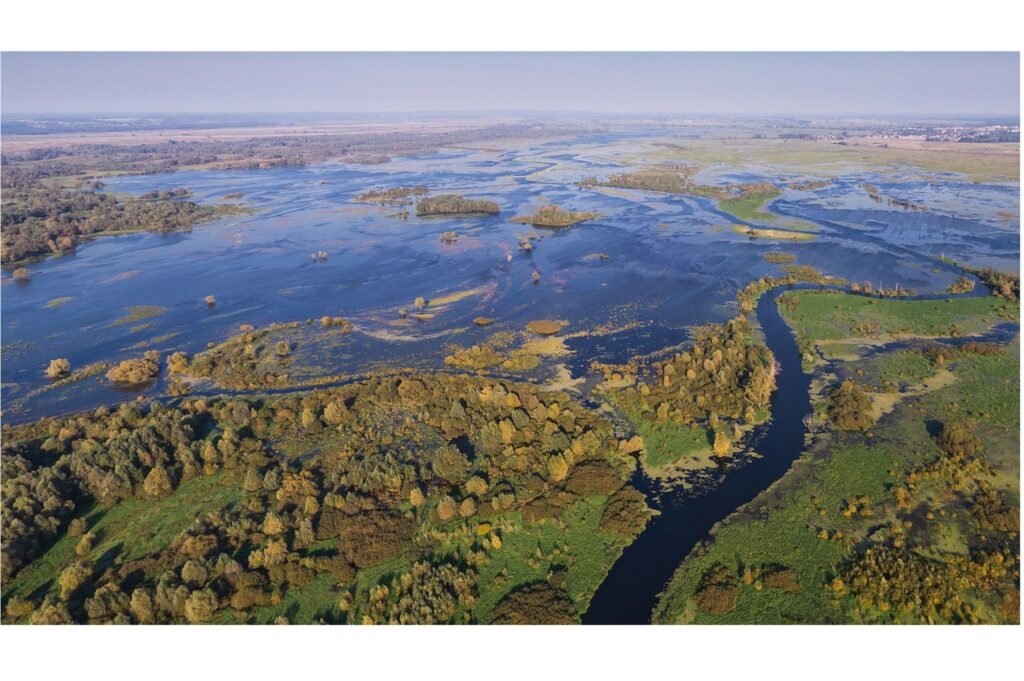 Wetlands in Poland.
