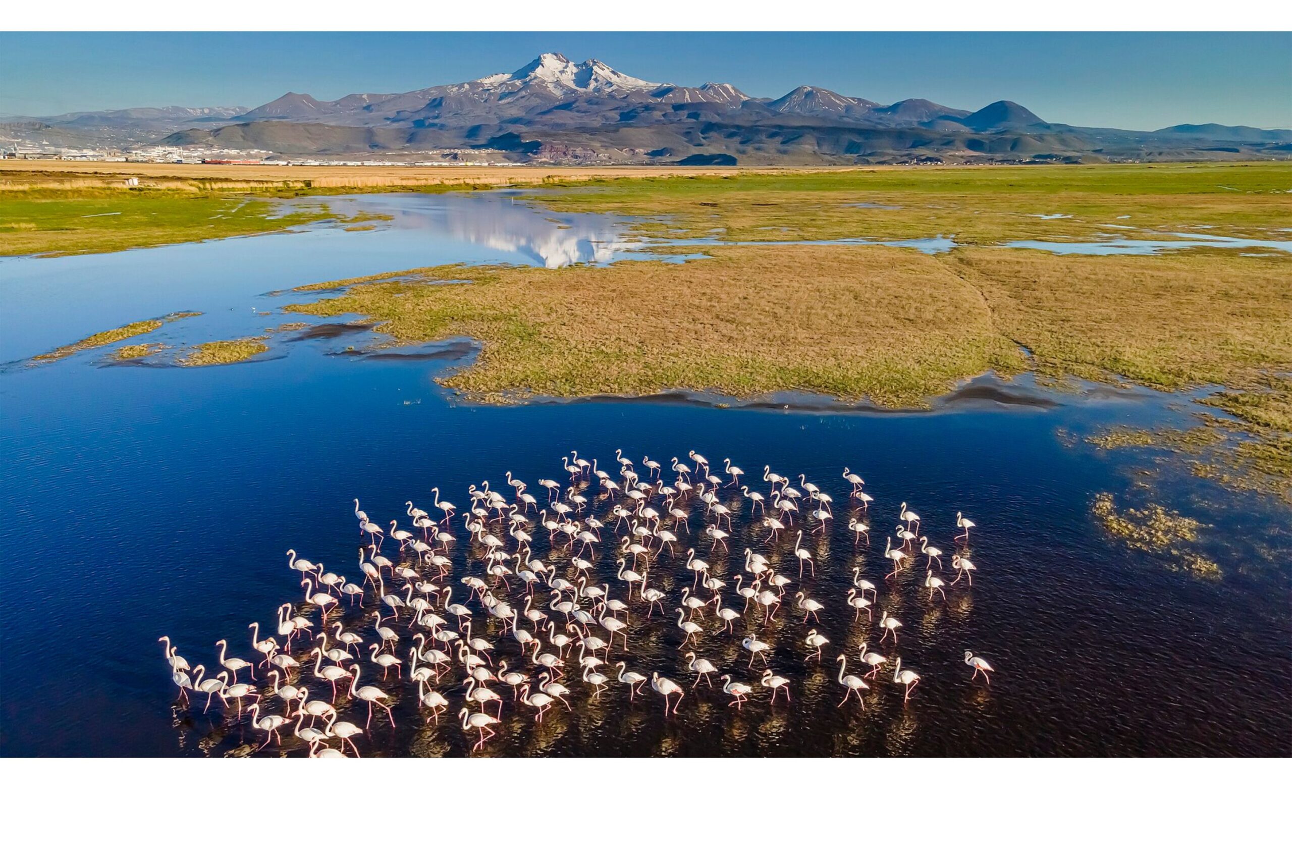 8 Wildlife Corridors Restoring Ecosystems Worldwide