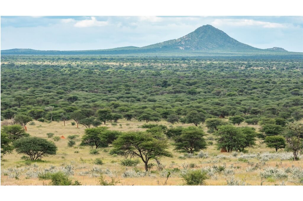 Omatako Mountains in Namibia.
