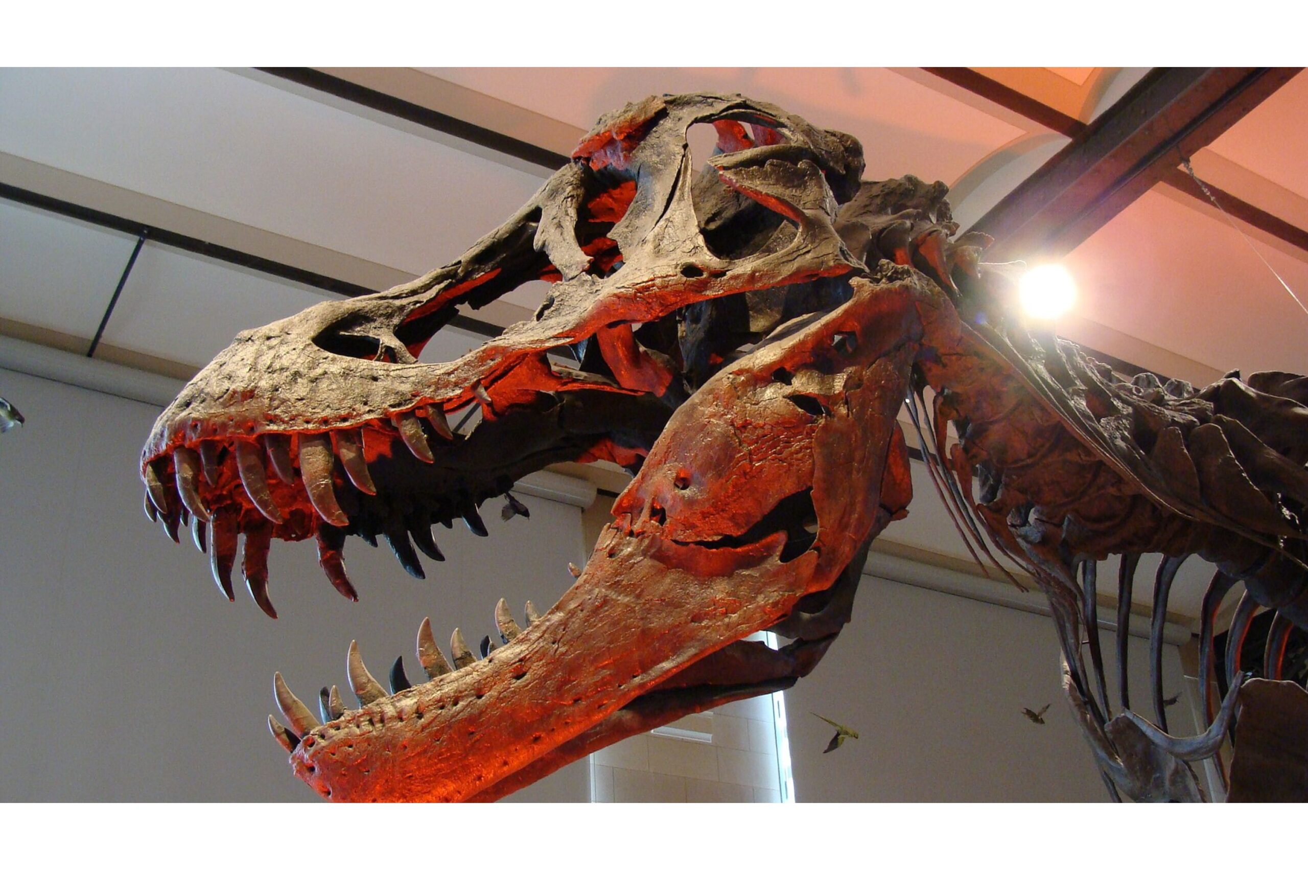 7 Prehistoric Predators More Fearsome Than T. Rex