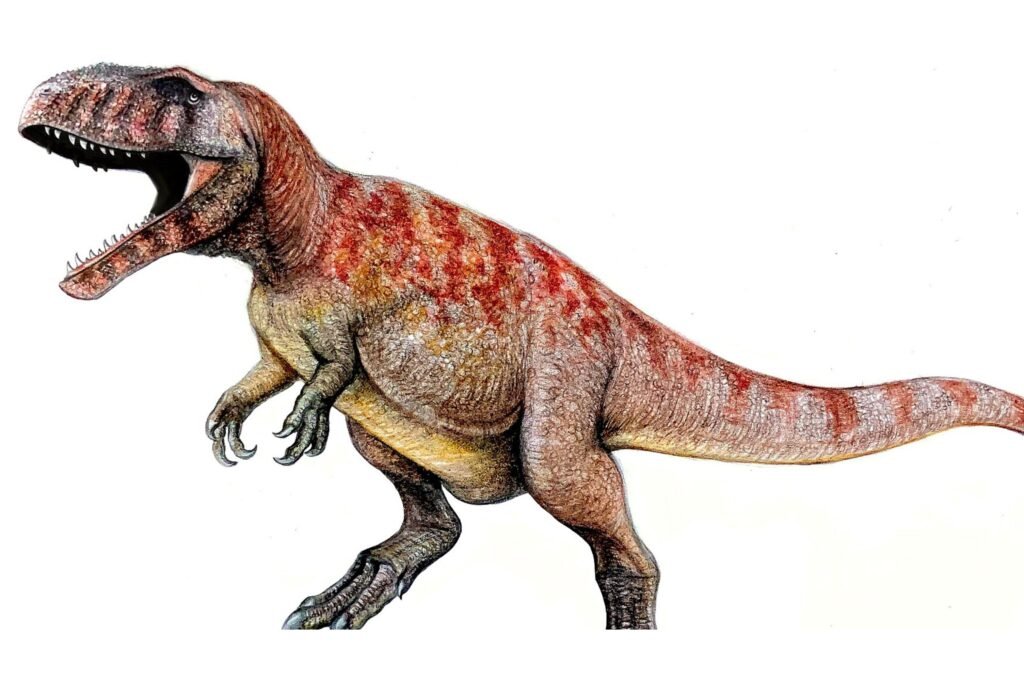 Giganotosaurus pencil illustration. 