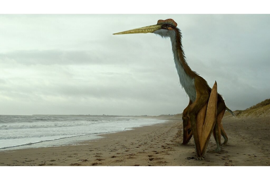 Quetzalcoatlus on a beach.