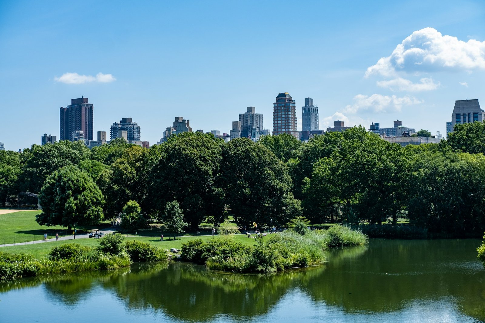 How Invasive Species Are Changing Central Park’s Ecosystem