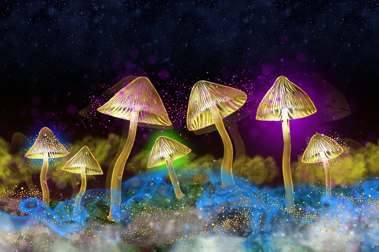 Glowing Mushrooms and Other Bioluminescent Forest Mysteries