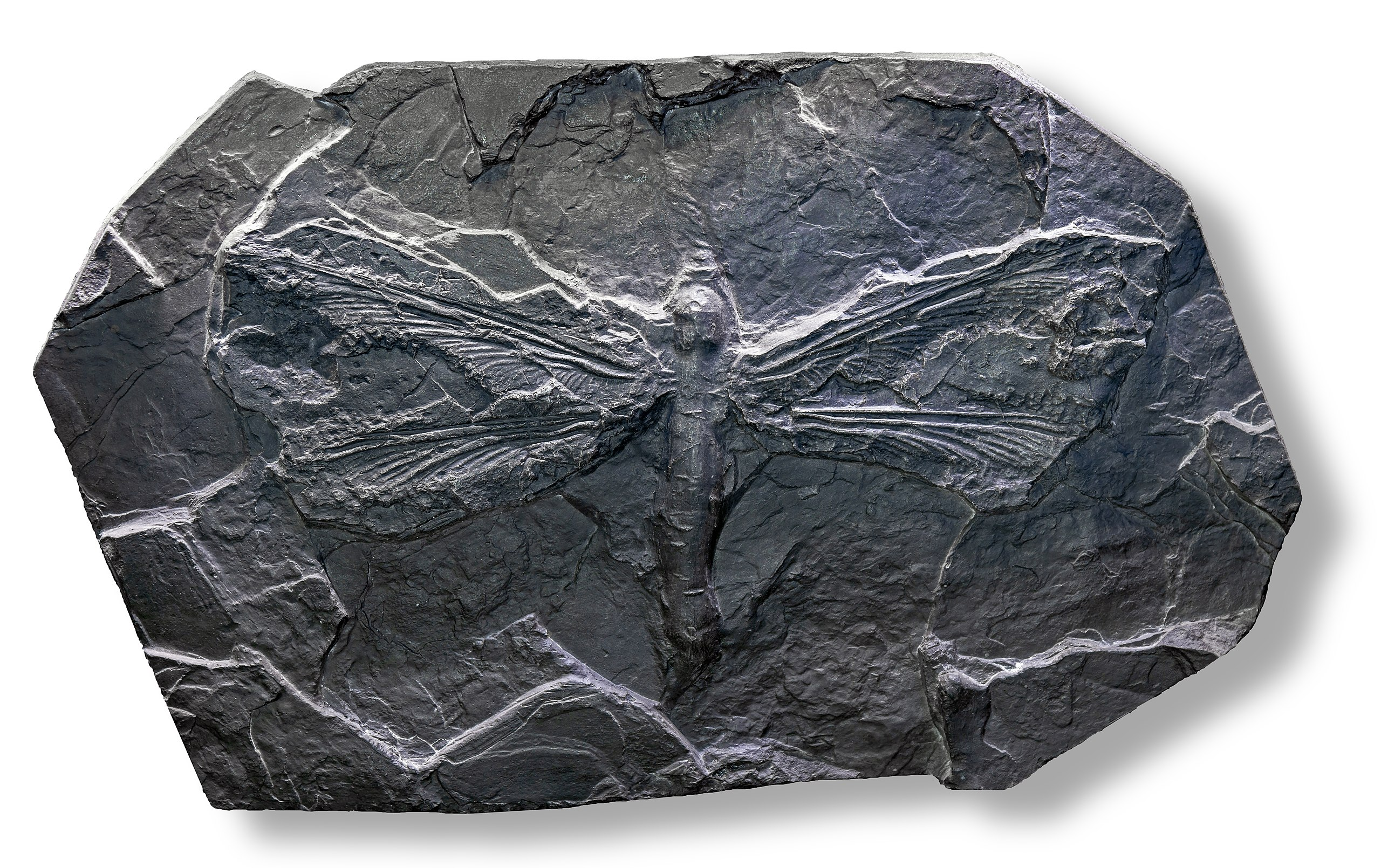 10 Giant Prehistoric Creatures You’ve Never Heard Of
