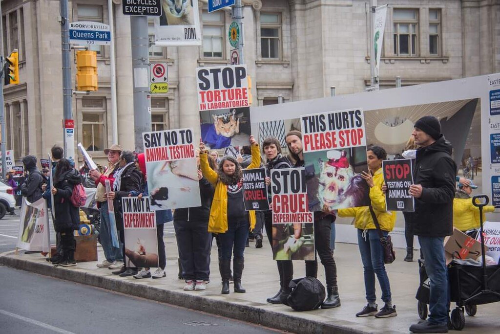 Stop Animal Testing Rally