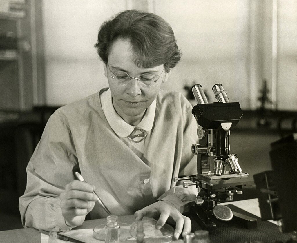 Barbara McClintock. Smithsonian Institution/Science Service; Restored by Adam Cuerden, Public domain, via Wikimedia Commons.