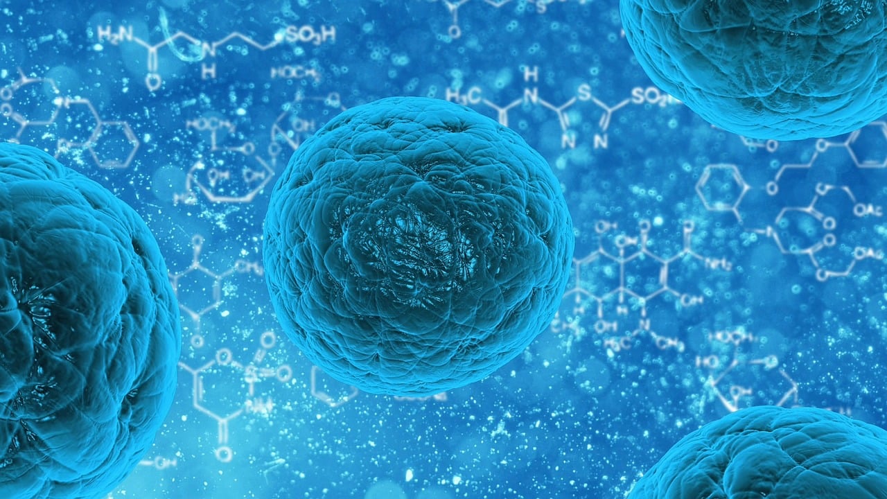 The Role of Gut Bacteria in the Survival of Endangered Species