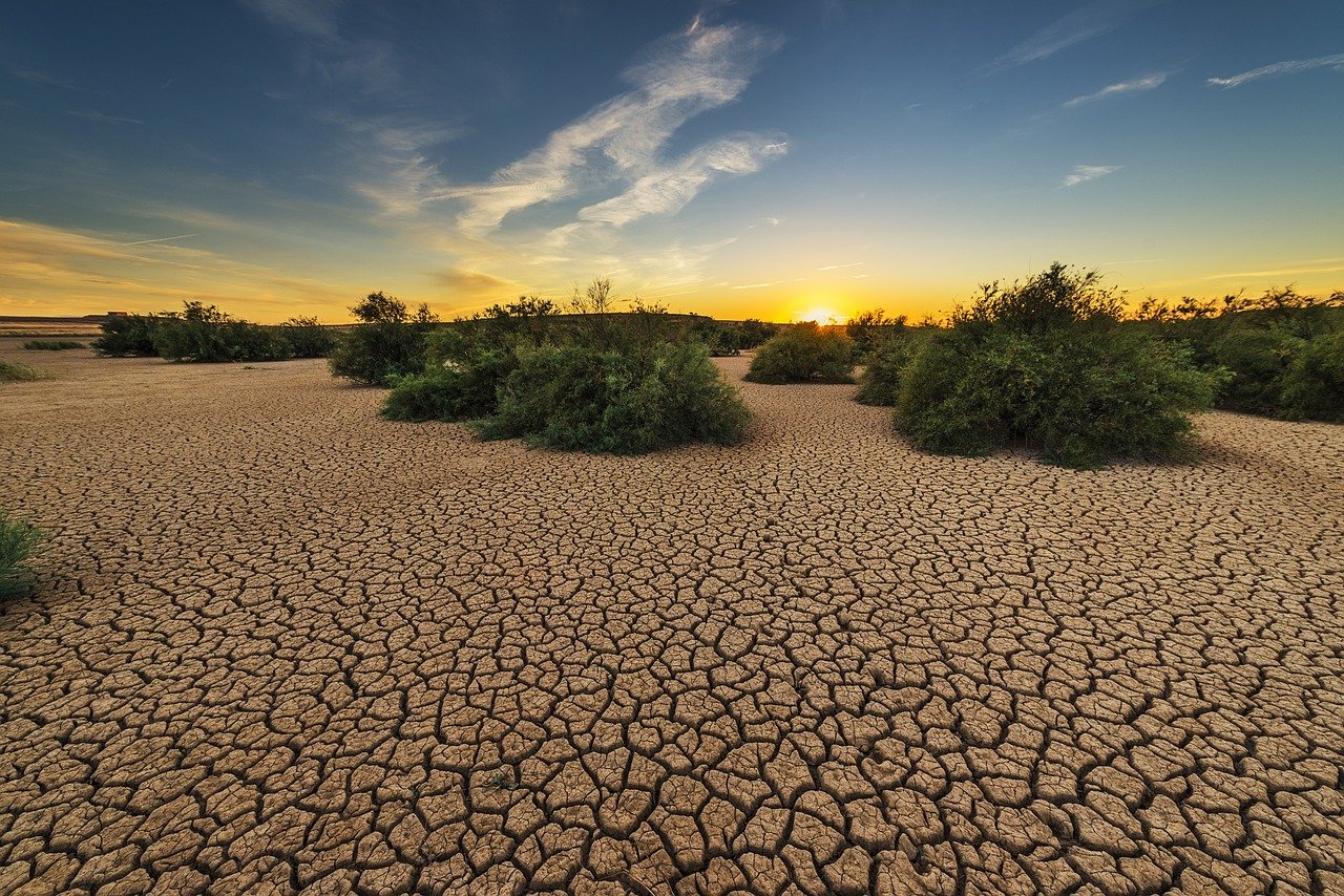 The Future of Water in California: Can the State Solve Its Drought Crisis?