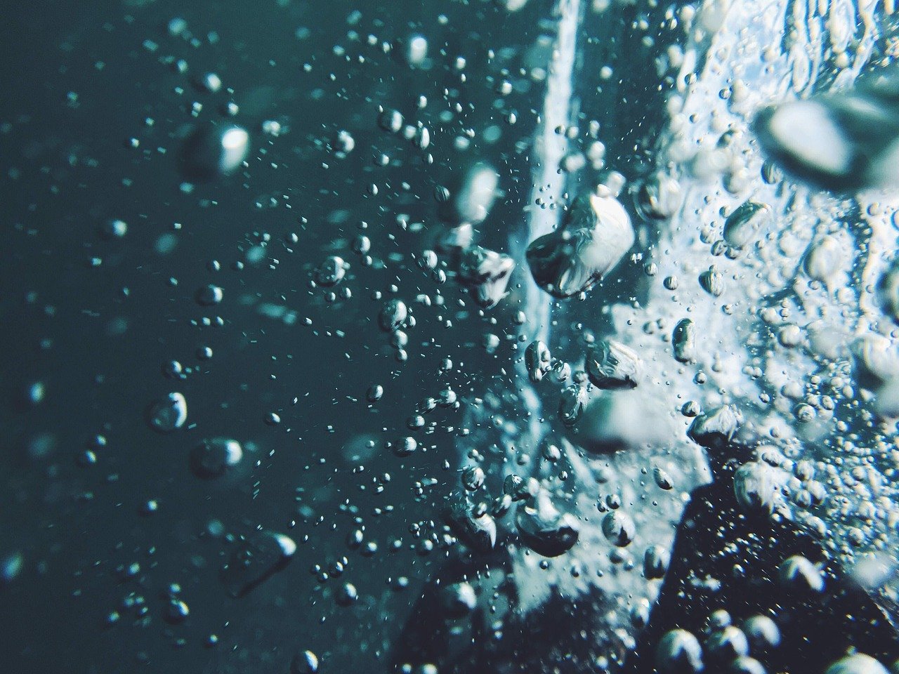 Air bubbles as seen from underwater.