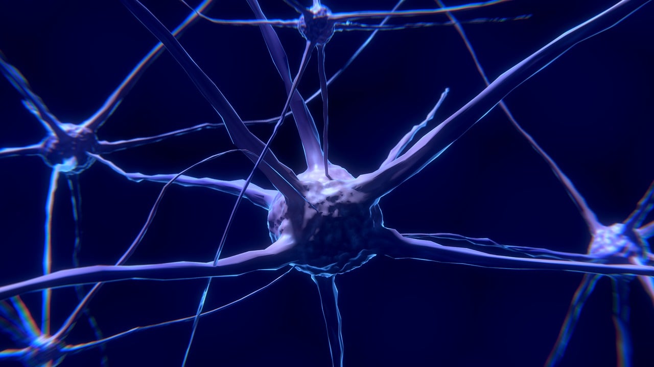 How Animal Neural Systems Adapt to Environmental Changes