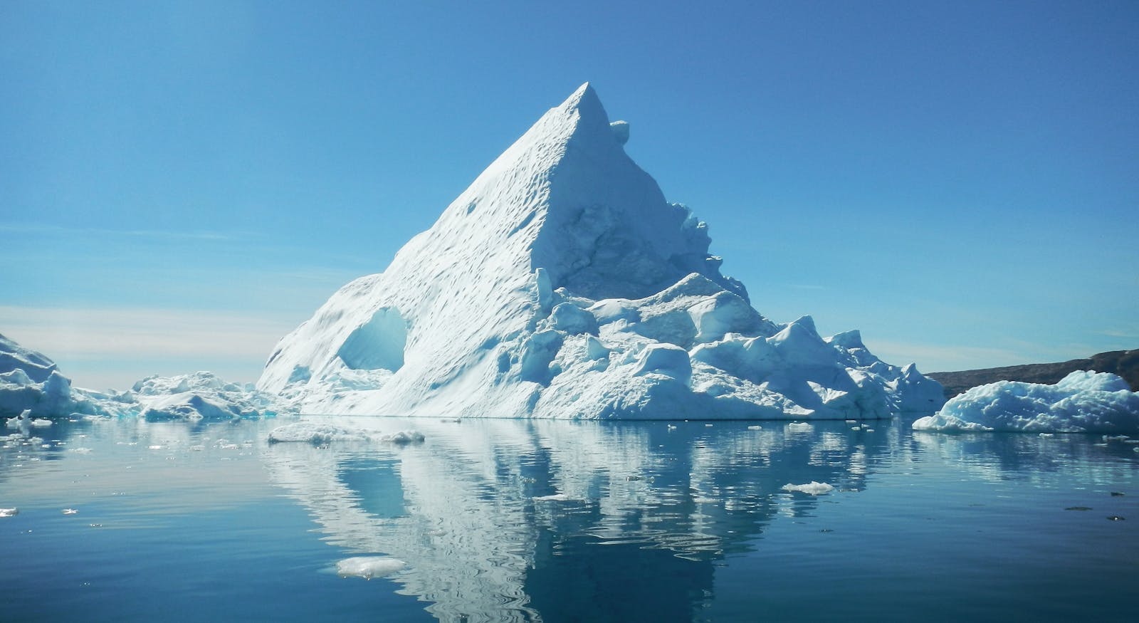 The Wonders of the Arctic: How Animals and Plants Adapt to Extreme Cold