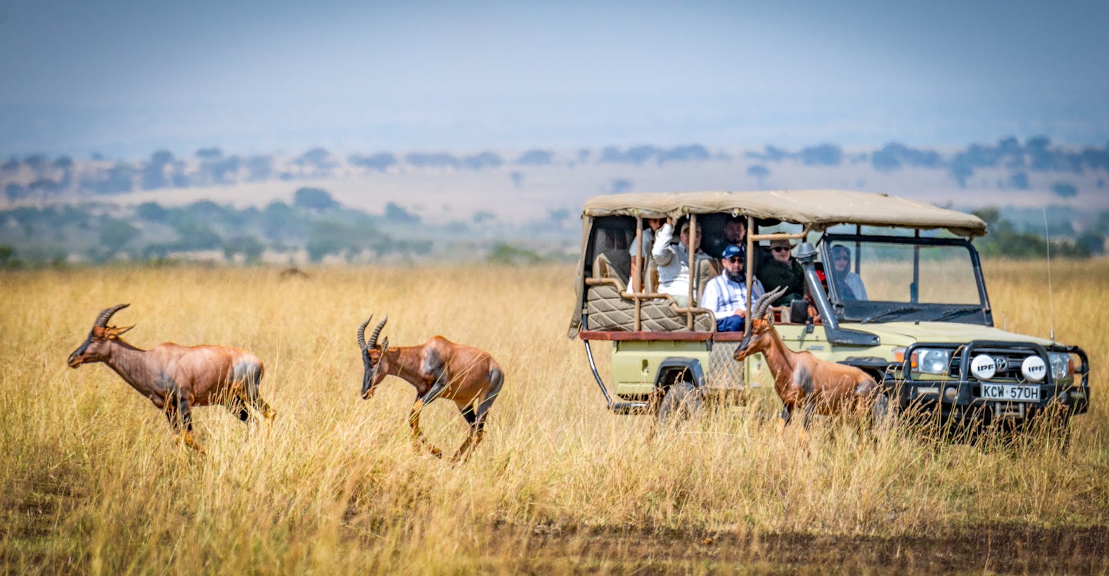 The Role of Wildlife in Studying Immune System Responses