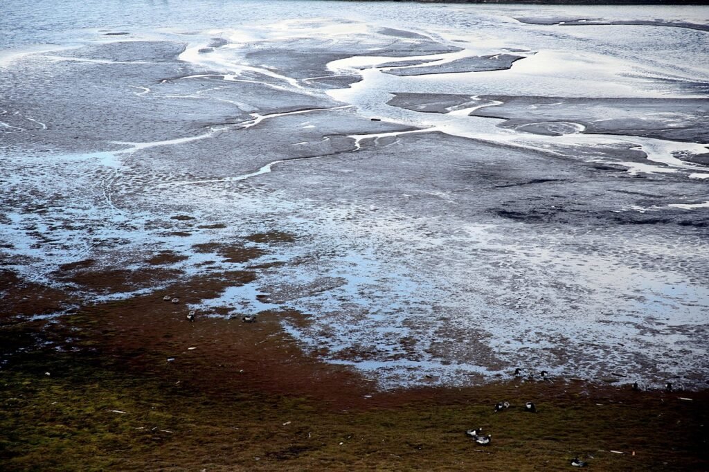 Permafrost is any ground that has remained frozen for over 2 years like this one.