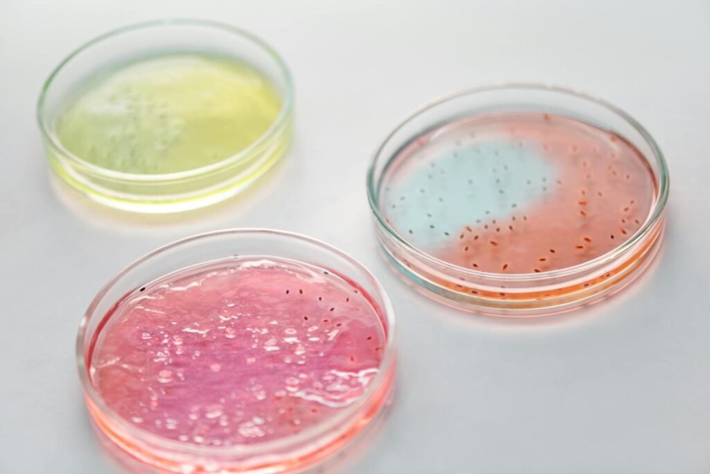 Petri dishes with microbes for scientific research.