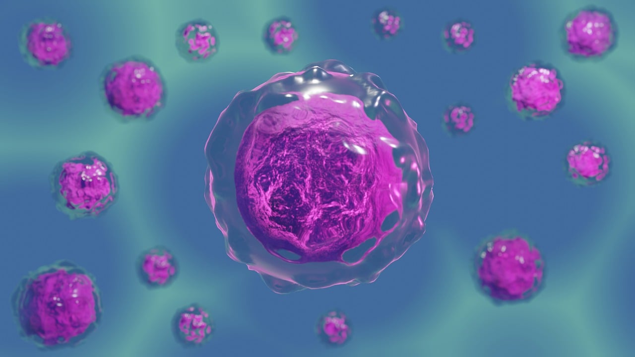 The Role of Microbes in Space and How Bacteria and Fungi Survive in the Vacuum