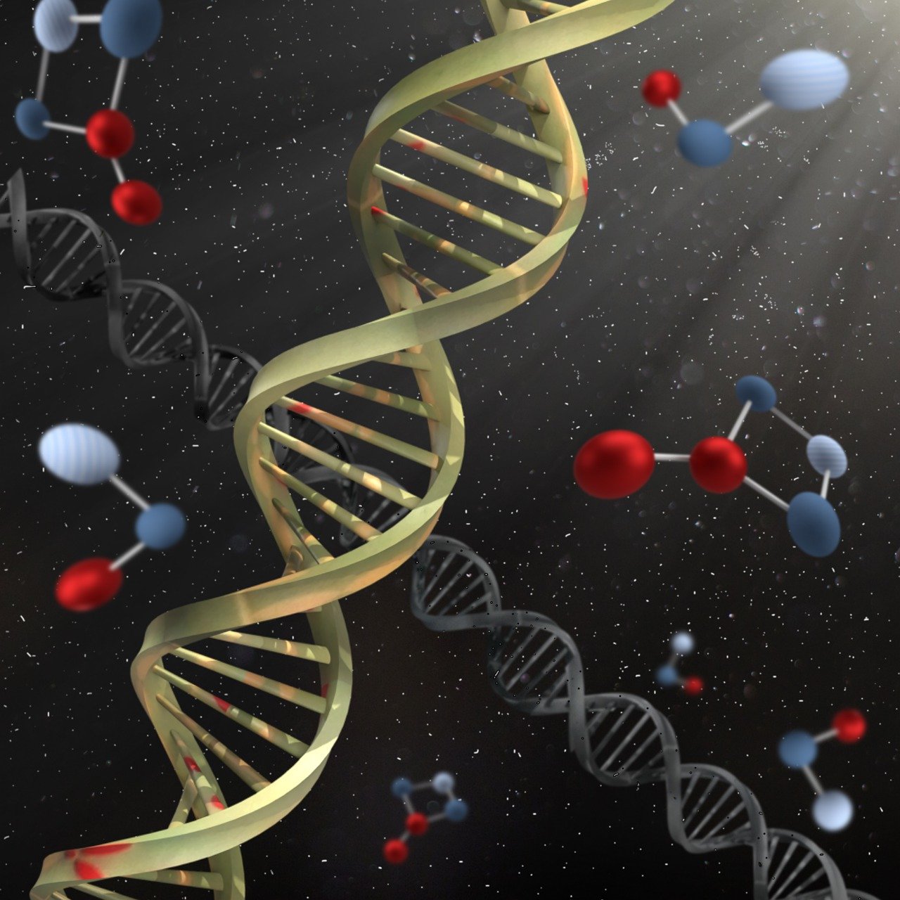 Studying Animal Microbiomes and Insights for Conservation and Medicine