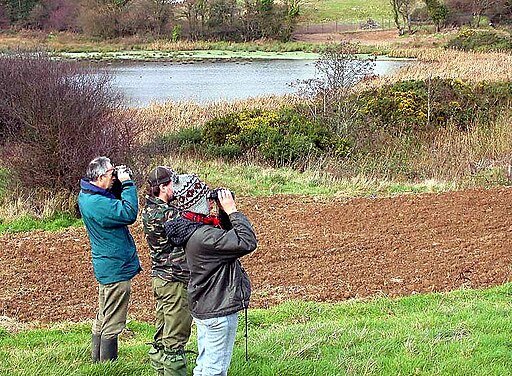 Bird watching event