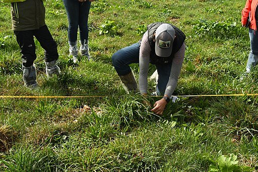 Pasture Assessment Training