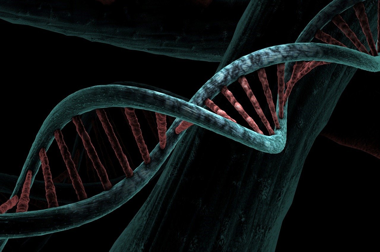 DNA Double Helix Close-Up Close-up of a DNA double helix structure
