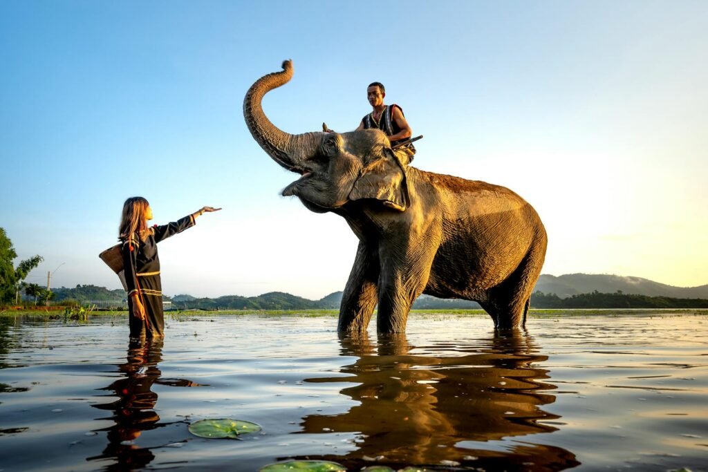 A man and a woman engaging with an elephant in a sunlit river setting.