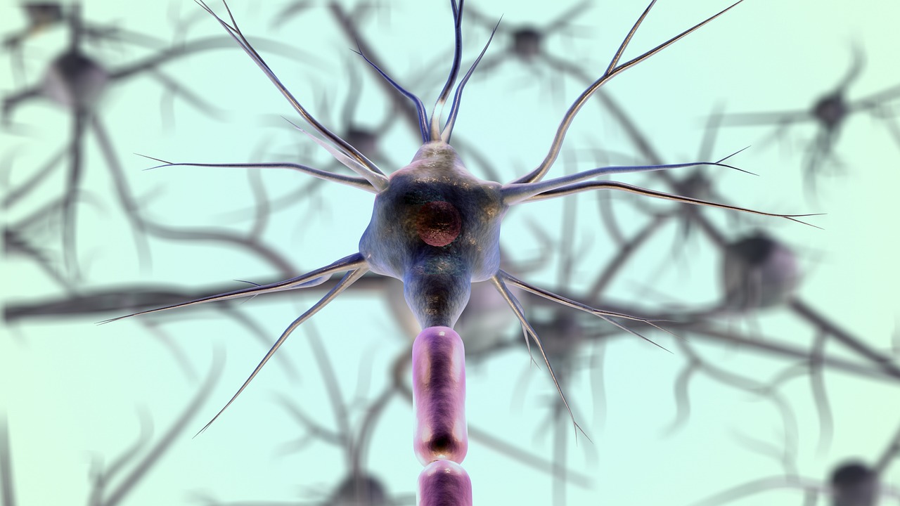 The Relationship Between Animal Microbiomes and Immune Systems