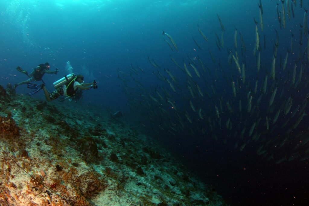 Divers looking at the dark beyond of the bottom of the ocean.