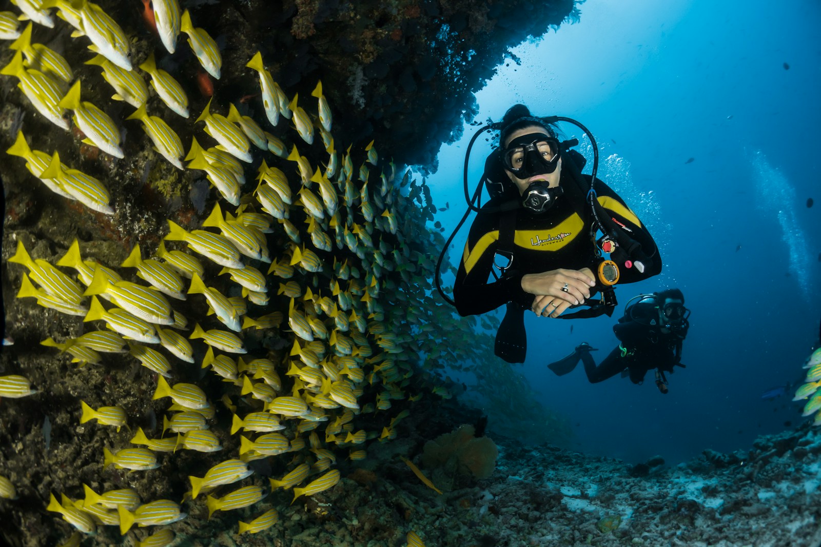 The Connection Between Biodiversity and Human Disease Prevention