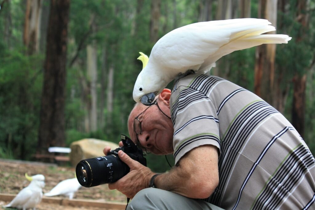 A man photographing wildlife with a bird perched on his shoulder.