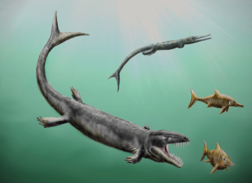 Ichthyosaur (topmost) together with other extinct marine life, Dakosaurus, and Cricosaurus.