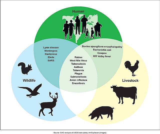 Zoonotic Diseases and Their Affected Populations