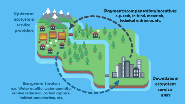 Forest Contributions to Ecosystem Health and Sustainability