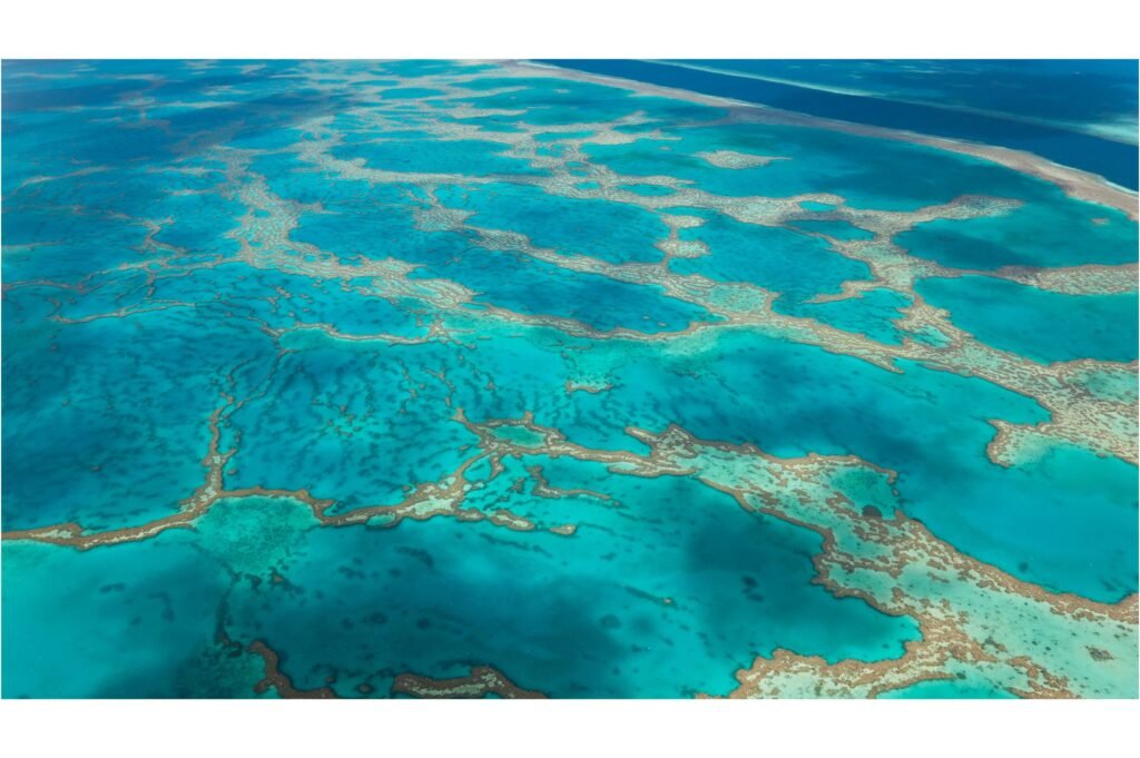 Great Barrier Reef in Queensland.