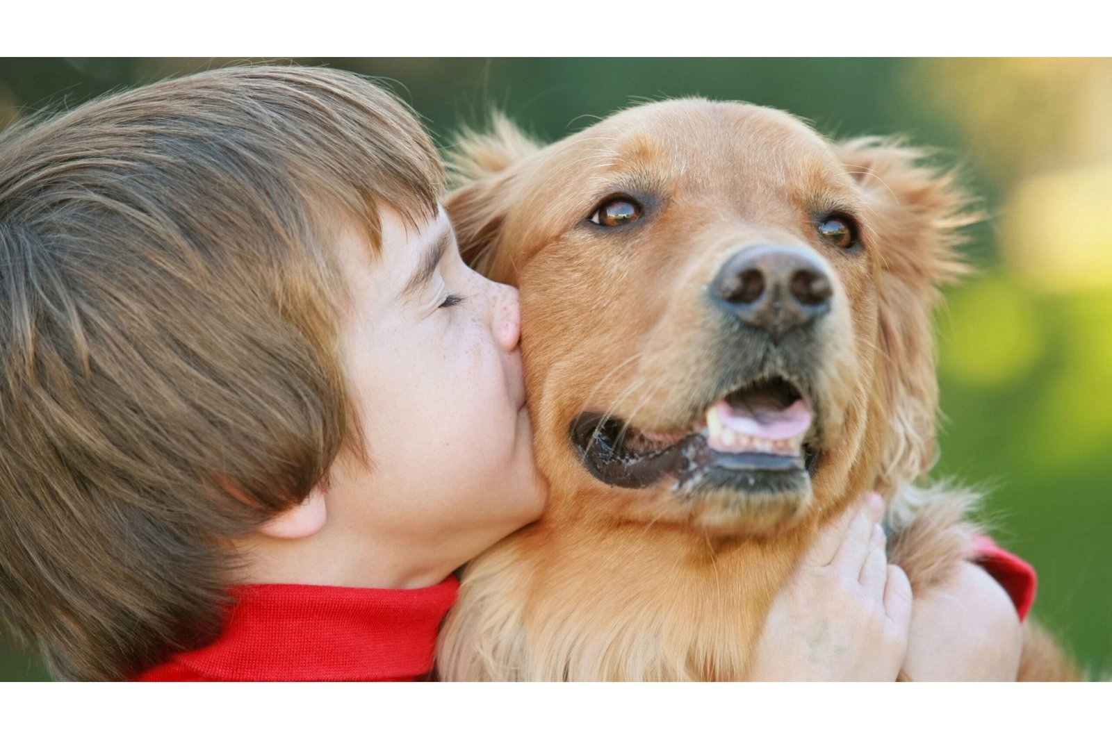 How Dogs Help in Therapy: The Amazing Impact of Canine Companions in Healing